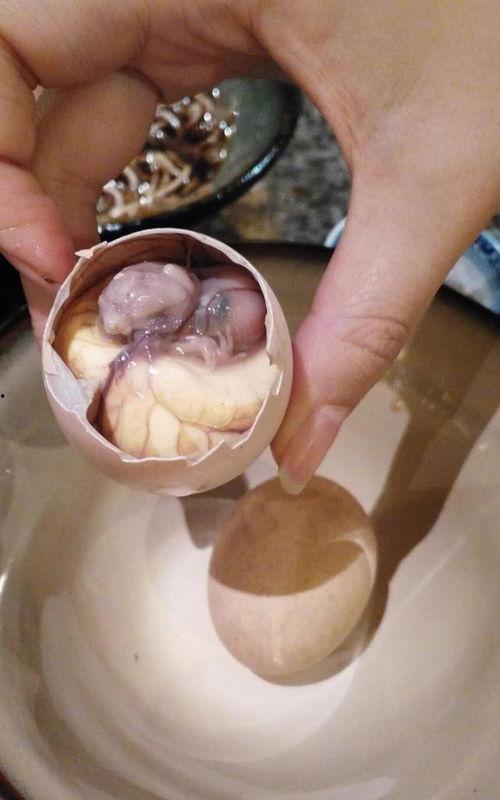 吃活珠子视频,现场烹饪，味蕾盛宴