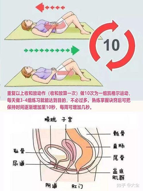 盆底修复视频,揭秘产后康复的秘密
