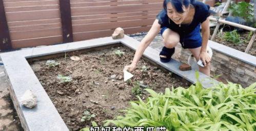 小鱼游泳视频,揭秘小鱼游泳的灵动瞬间