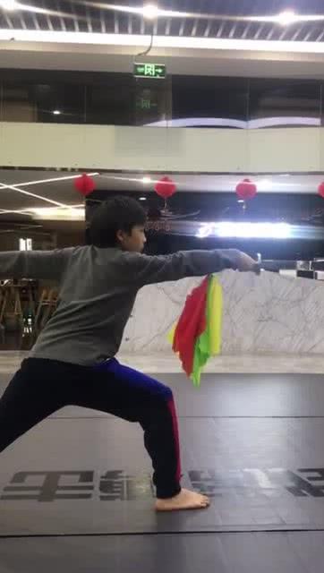 武术对打视频,激情四溢的技艺较量