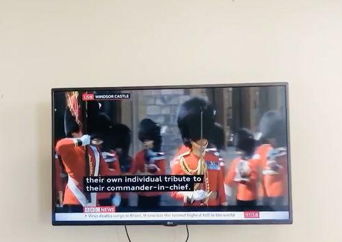 bbc视频,[视频主题]深度解析