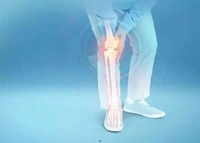 关节运动视频,关节运动视频深度解析