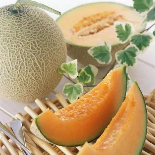 寿光哈密瓜今日价,价格行情一览”