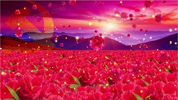 绒花舞蹈视频,绽放民族风情