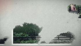 绒花舞蹈视频,绽放民族风情