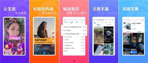 焦点视频,揭秘事件背后的真相与启示