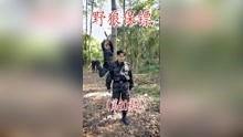 野狼视频在线,探索未知，畅游虚拟世界