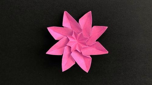 折纸视频花,从视频教程中学习花型折纸的美丽与技巧