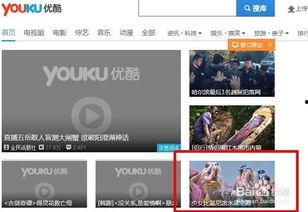 优酷怎么下载视频,轻松掌握下载技巧