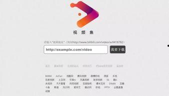 资源视频网站,海量内容，一键获取，学习娱乐两不误