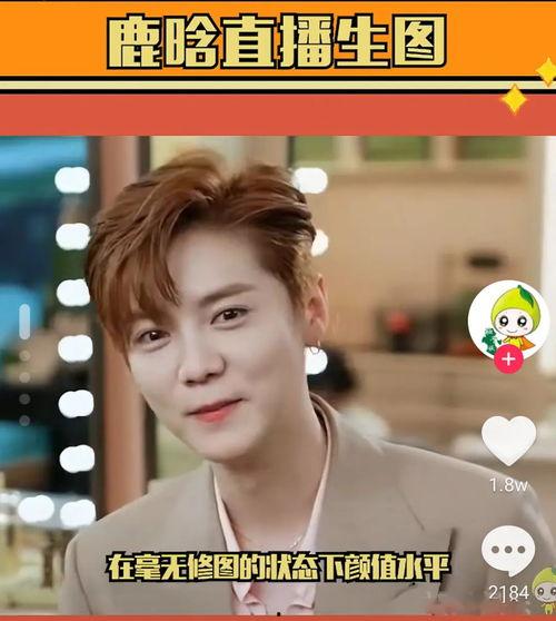 鹿晗直播视频,粉丝互动与音乐创作背后的故事