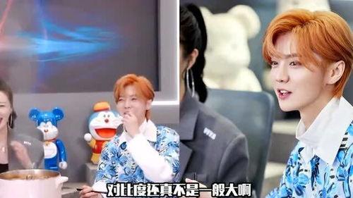 鹿晗直播视频,粉丝互动与音乐创作背后的故事