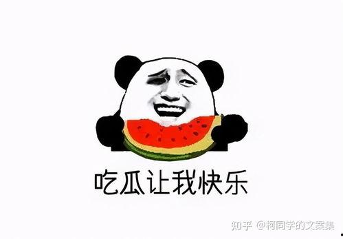 爆料吃瓜文案搞笑图片大全,图文并茂的趣味爆料盛宴