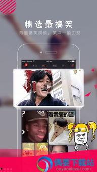 哈哈视频下载,畅享欢乐时光