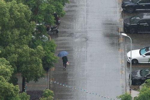 下雨小视频,捕捉自然之美瞬间