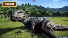 恐龙世界视频,揭秘史前巨兽的传奇岁月