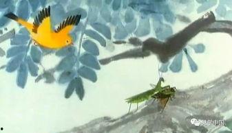 螳螂捕蝉视频,自然界中的生存智慧瞬间