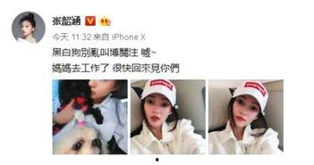 乱理视频,荒诞搞笑背后的深层含义