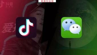 乱理视频,荒诞搞笑背后的深层含义