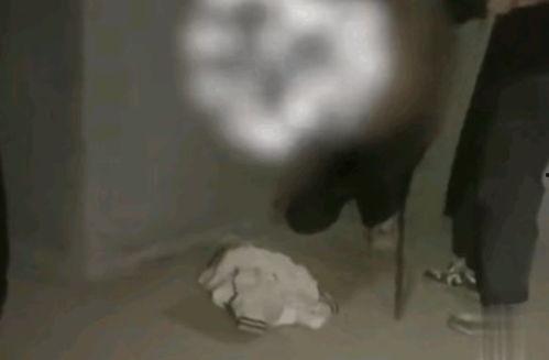 男女打架视频大全,男女打架视频大盘点