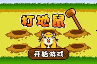 打地鼠视频,一场欢乐的打地鼠视频盛宴