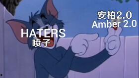 meme视频,网友直呼太上头