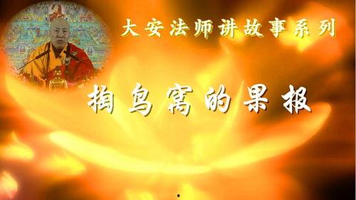 因果视频,视频揭示事件背后的必然联系