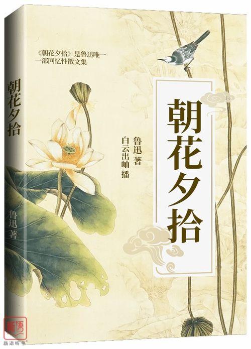 朝花夕拾视频,穿越时光的回忆之旅