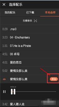 视频加音频,视频与音频融合的艺术呈现