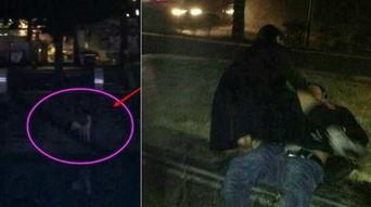 女女激情视频,揭秘女女激情视频背后的故事