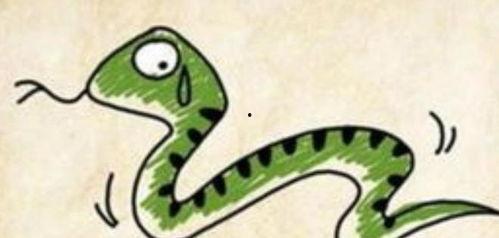 画蛇视频,视频展示创意绘画魅力