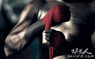 拳击视频教程,掌握实战技巧，提升拳法水平