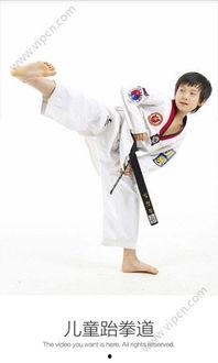 幼儿跆拳道视频,活力四溢的武术之旅