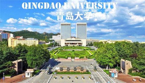 青岛大学视频,探索海滨学府的学术魅力与活力