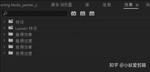 pr视频裁剪,打造精彩概述的秘诀