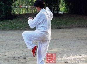 陈式太极视频,传承经典，动静之间展现中华武术魅力