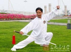 陈式太极视频,传承经典，动静之间展现中华武术魅力