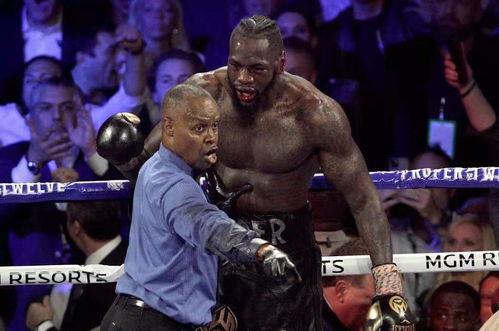 维尔德视频,揭秘他的训练日常与拳击技巧