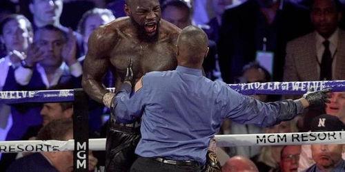 维尔德视频,揭秘他的训练日常与拳击技巧