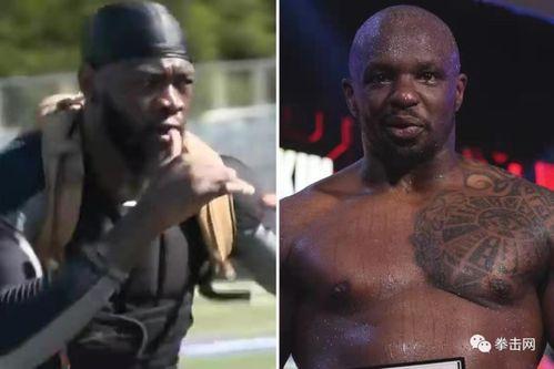 维尔德视频,揭秘他的训练日常与拳击技巧