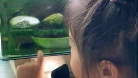 喂鱼视频,喂鱼视频背后的温馨故事