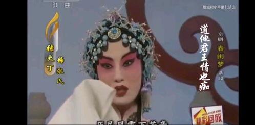 京剧介绍视频,穿越时空的艺术瑰宝