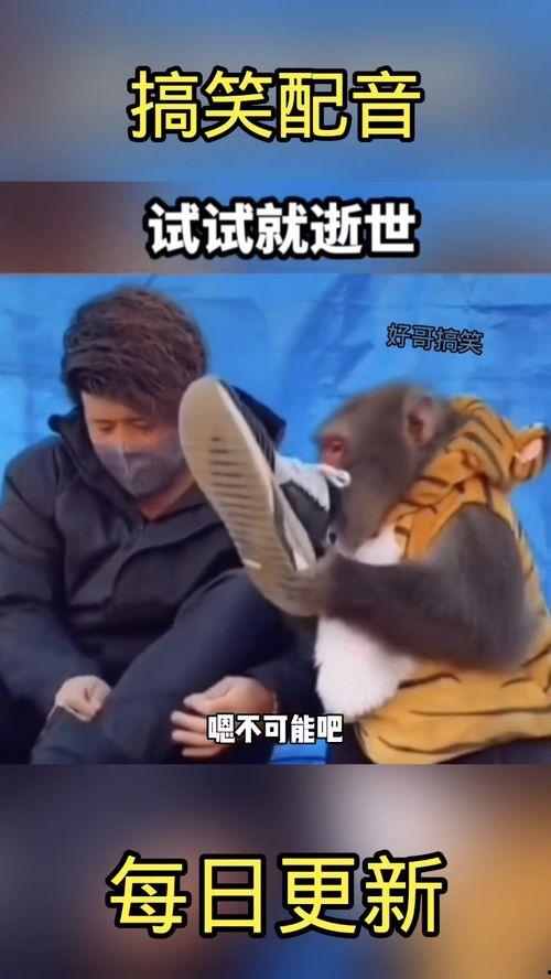 爆笑配音视频,笑料十足，快来感受欢乐风暴！