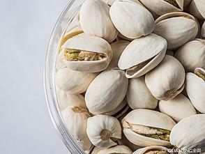 开心果视频,欢乐瞬间，笑点连连