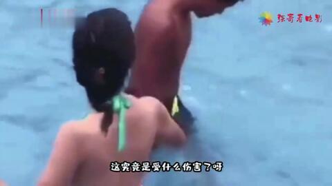 15秒搞笑视频,瞬间治愈你的不开心！