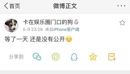 吃瓜爆料项目,吃瓜爆料项目深度解析