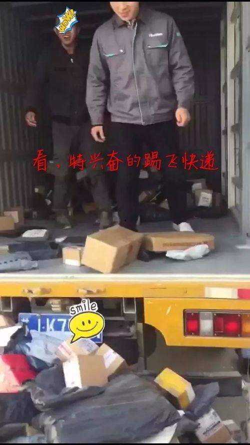 快递视频,物流运输背后的高效与便捷