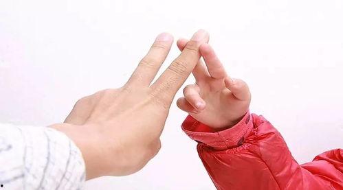 手指游戏大全视频,手指游戏大全视频精彩回顾