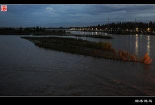 伊犁河畔古筝视频,伊犁河畔古筝韵动