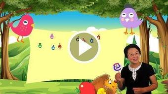 成年快速学拼音的视频,跟随视频轻松掌握标准发音技巧
